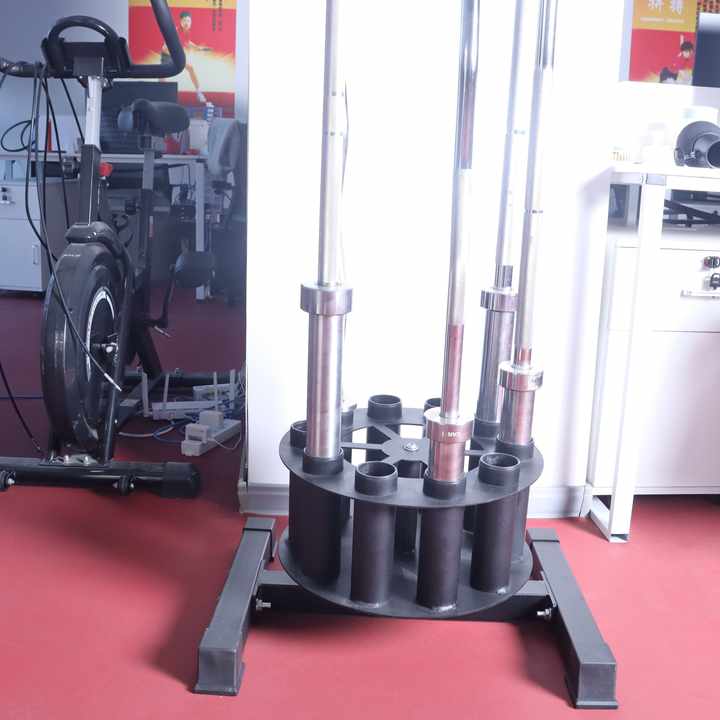 Barbell Curl Bar - バーベルホルダー 収納・整理用品 家庭用・商業用・ガレージジム用 バー10本収納可能 カールバー、ヘックスバー、トライセップバー対応