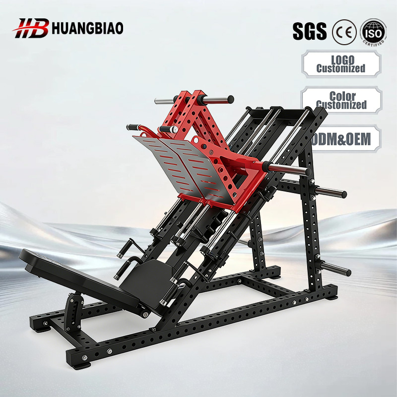 Home Gym Leg Extension Machine - 家庭用および業務用ジム向けレッグエクステンション＆シーテッドレッグプレスマシン（フィットネス用）