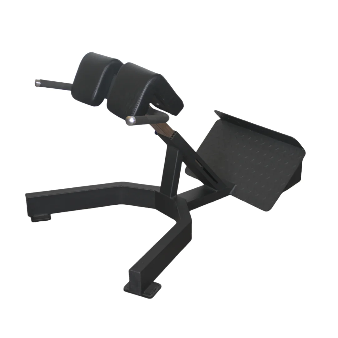 Home Gym Leg Extension Machine - 工場価格 ローマンチェア バックエクステンションベンチ 筋力トレーニング器具 ホームジム 腰トレーニングマシン
