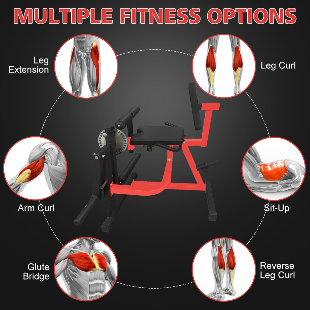 調整可能なレッグエクステンション＆カールマシン、下半身トレー - Home Gym Leg Extension Machine のレビューと価格