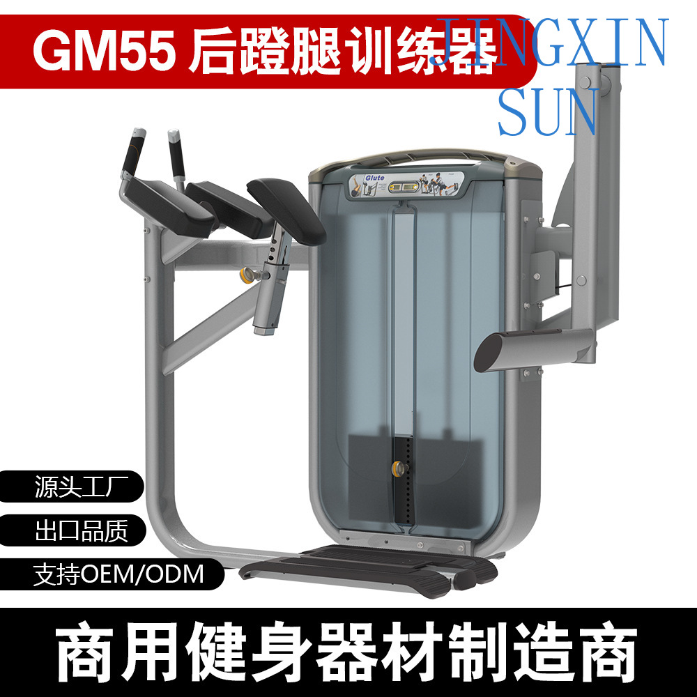 業務用スタンディングバックプッシュレッグインサートマシン、太 - Home Gym Leg Extension Machine のレビューと価格