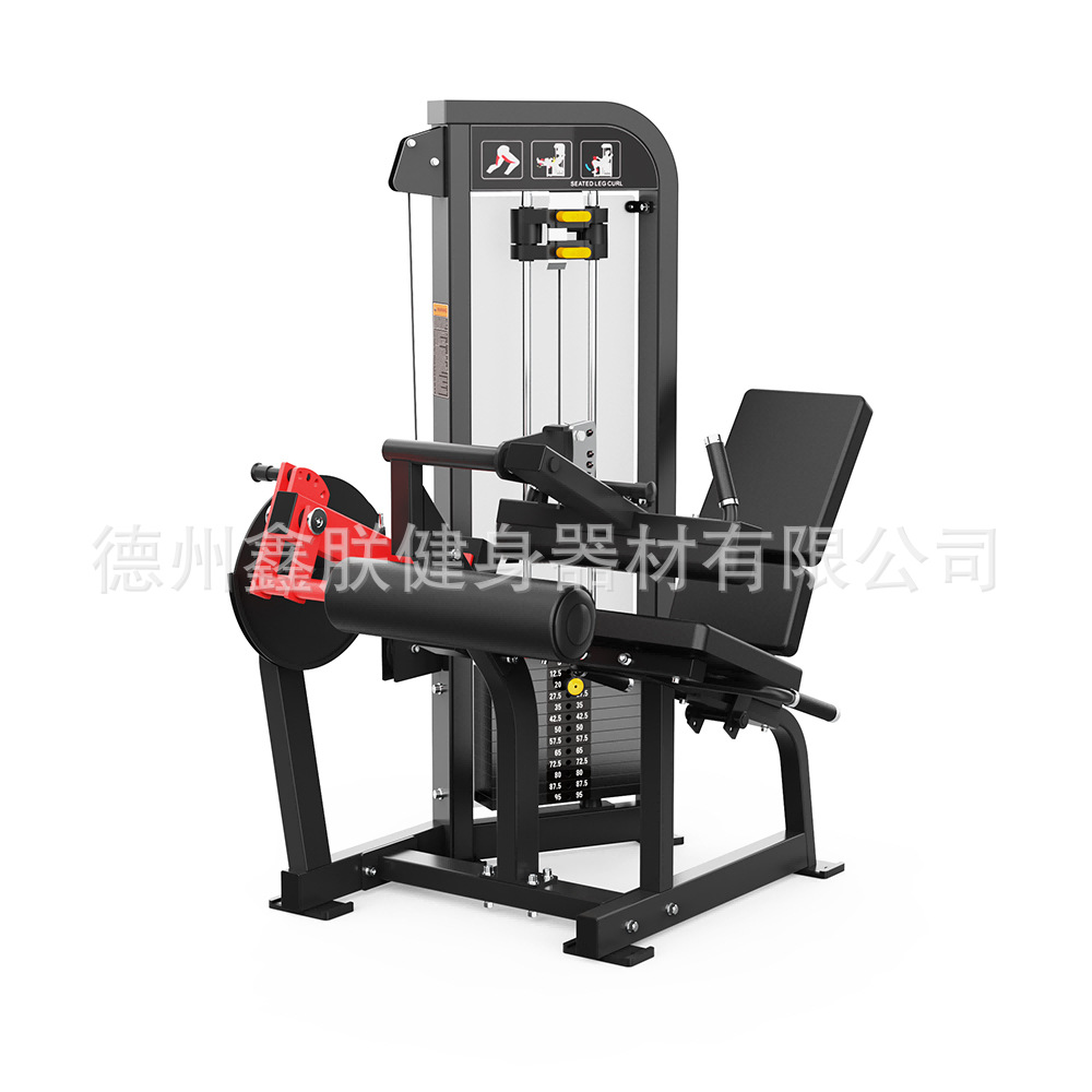 ジムハンマーストレングス機器セット、フラットベンチプレスハイ - Home Gym Leg Extension Machine のレビューと価格