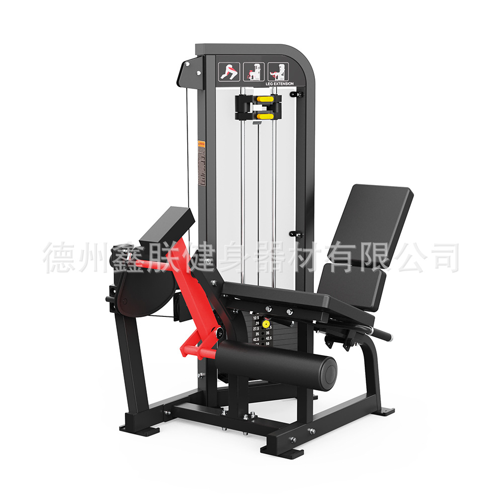 ジムハンマーストレングス機器セット、フラットベンチプレスハイ - Home Gym Leg Extension Machine のレビューと価格