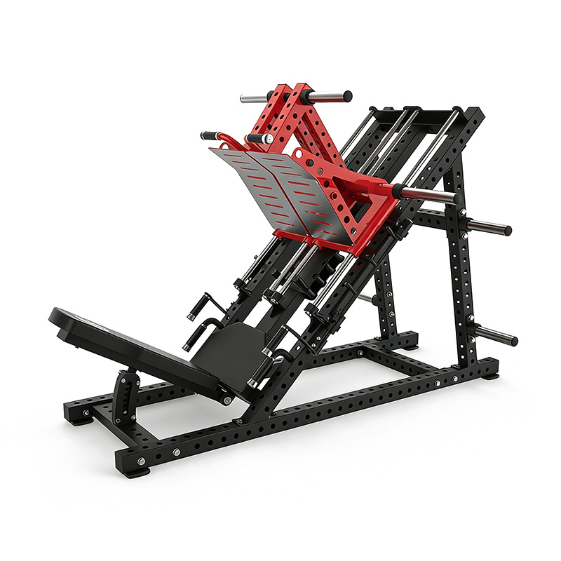 家庭用および業務用ジム向けレッグエクステンション＆シーテッド - Home Gym Leg Extension Machine のレビューと価格
